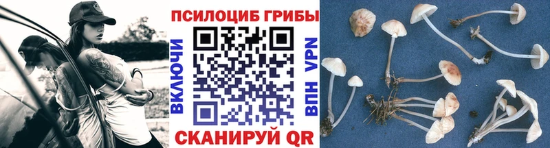 Галлюциногенные грибы мицелий  Вилюйск 
